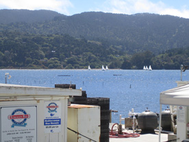 Beautiful and low-key Tomales Bay Oyster Co. Tomales Bay, CA
